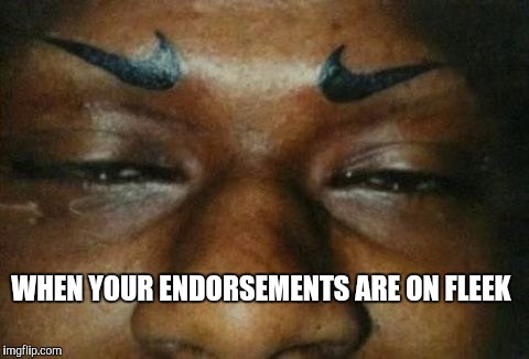 WHEN YOUR ENDORSEMENTS ARE ON FLEEK | image tagged in on fleek | made w/ Imgflip meme maker