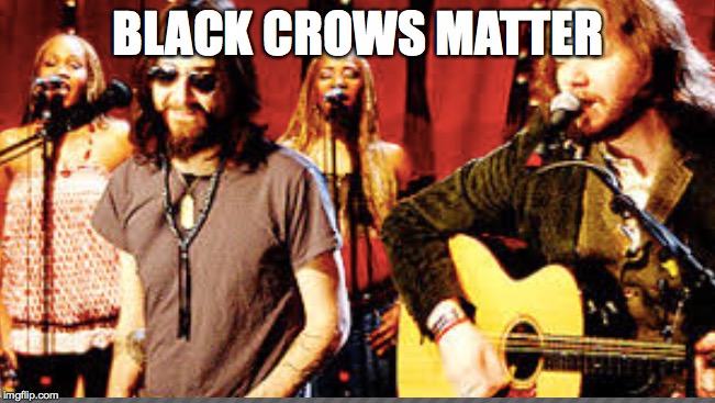 BLACK CROWS MATTER | image tagged in black lives matter | made w/ Imgflip meme maker