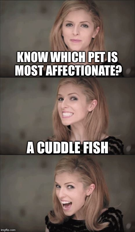 Bad Pun Anna Kendrick | KNOW WHICH PET IS MOST AFFECTIONATE? A CUDDLE FISH | image tagged in memes,bad pun anna kendrick | made w/ Imgflip meme maker