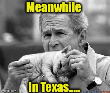 Texas BBQ |  Meanwhile; In Texas..... | image tagged in george bush,memes,funny cats,funny,evilmandoevil | made w/ Imgflip meme maker