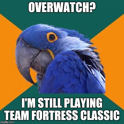 Paranoid Parrot | OVERWATCH? I'M STILL PLAYING TEAM FORTRESS CLASSIC | image tagged in memes,paranoid parrot | made w/ Imgflip meme maker