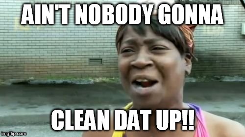 Ain't Nobody Got Time For That Meme | AIN'T NOBODY GONNA CLEAN DAT UP!! | image tagged in memes,aint nobody got time for that | made w/ Imgflip meme maker