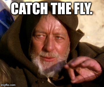 CATCH THE FLY. | made w/ Imgflip meme maker