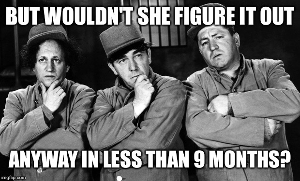 BUT WOULDN'T SHE FIGURE IT OUT ANYWAY IN LESS THAN 9 MONTHS? | made w/ Imgflip meme maker