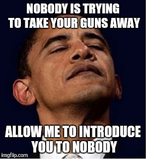 Barack Obama proud face | NOBODY IS TRYING TO TAKE YOUR GUNS AWAY; ALLOW ME TO INTRODUCE YOU TO NOBODY | image tagged in barack obama proud face | made w/ Imgflip meme maker