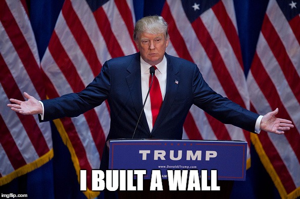 Trump Bruh | I BUILT A WALL | image tagged in trump bruh | made w/ Imgflip meme maker