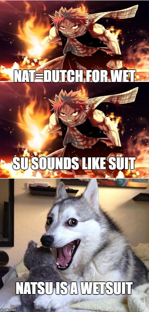 worst pun ever | NAT=DUTCH FOR WET; SU SOUNDS LIKE SUIT; NATSU IS A WETSUIT | image tagged in memes,bad pun dog,natsu fairytail | made w/ Imgflip meme maker