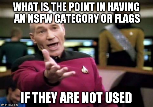 Just because it is raunchy doesn't make it funny | WHAT IS THE POINT IN HAVING AN NSFW CATEGORY OR FLAGS; IF THEY ARE NOT USED | image tagged in straight to the front page,millions of points privilege,moderators day off,young people on imgflip,vulgar | made w/ Imgflip meme maker