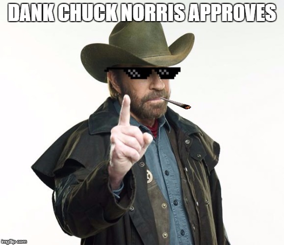 DANK CHUCK NORRIS APPROVES | image tagged in dank chuck norris | made w/ Imgflip meme maker