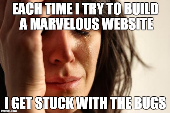First World Problems | EACH TIME I TRY TO BUILD A MARVELOUS WEBSITE; I GET STUCK WITH THE BUGS | image tagged in memes,first world problems | made w/ Imgflip meme maker