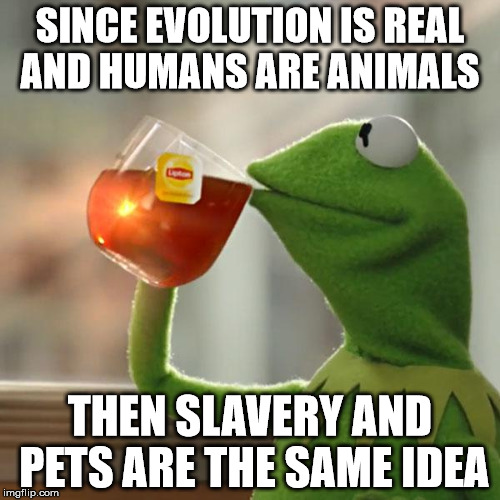 But That's None Of My Business Meme | SINCE EVOLUTION IS REAL AND HUMANS ARE ANIMALS; THEN SLAVERY AND PETS ARE THE SAME IDEA | image tagged in memes,but thats none of my business,kermit the frog | made w/ Imgflip meme maker