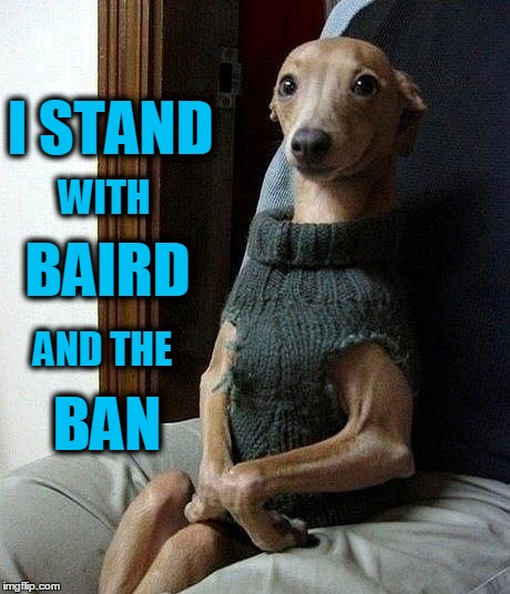 Greyhound | I STAND; WITH; BAIRD; AND THE; BAN | image tagged in ban the racing | made w/ Imgflip meme maker