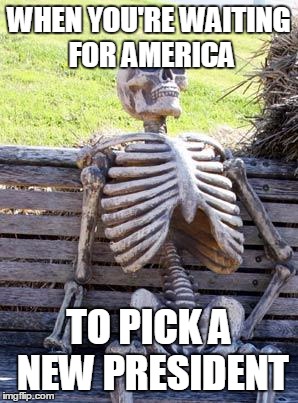 Waiting Skeleton | WHEN YOU'RE WAITING FOR AMERICA; TO PICK A NEW PRESIDENT | image tagged in memes,waiting skeleton | made w/ Imgflip meme maker