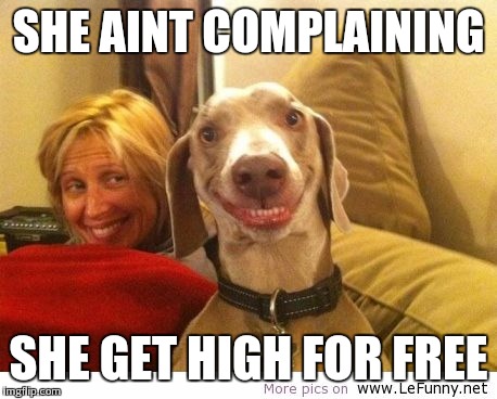 SHE AINT COMPLAINING SHE GET HIGH FOR FREE | made w/ Imgflip meme maker