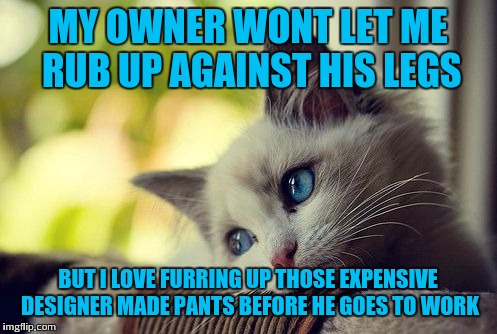Furred up | MY OWNER WONT LET ME RUB UP AGAINST HIS LEGS; BUT I LOVE FURRING UP THOSE EXPENSIVE DESIGNER MADE PANTS BEFORE HE GOES TO WORK | image tagged in memes,first world problems cat | made w/ Imgflip meme maker