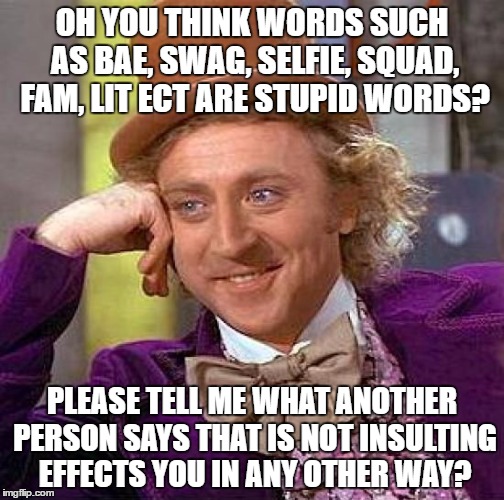 As long as they are not insulting, don't get upset by hipster words | OH YOU THINK WORDS SUCH AS BAE, SWAG, SELFIE, SQUAD, FAM, LIT ECT ARE STUPID WORDS? PLEASE TELL ME WHAT ANOTHER PERSON SAYS THAT IS NOT INSULTING EFFECTS YOU IN ANY OTHER WAY? | image tagged in memes,creepy condescending wonka | made w/ Imgflip meme maker
