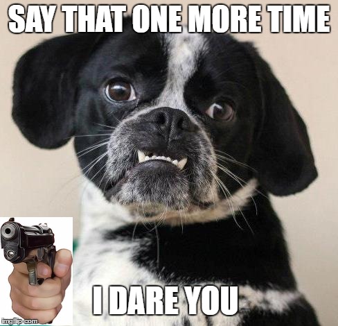 SAY THAT ONE MORE TIME I DARE YOU | made w/ Imgflip meme maker