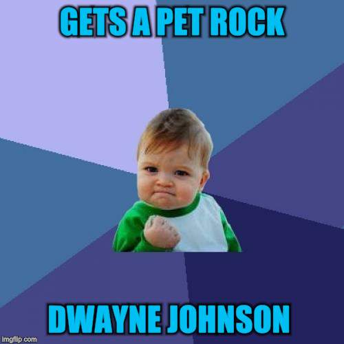 Success Kid Meme | GETS A PET ROCK DWAYNE JOHNSON | image tagged in memes,success kid | made w/ Imgflip meme maker