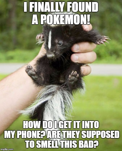 Pokemon | I FINALLY FOUND A POKEMON! HOW DO I GET IT INTO MY PHONE? ARE THEY SUPPOSED TO SMELL THIS BAD? | image tagged in pokemon | made w/ Imgflip meme maker
