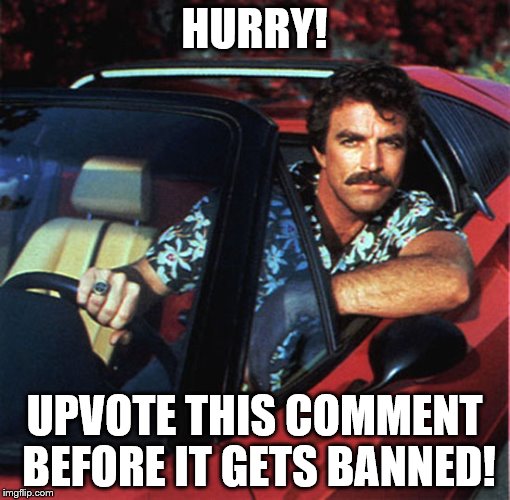 HURRY! UPVOTE THIS COMMENT BEFORE IT GETS BANNED! | made w/ Imgflip meme maker