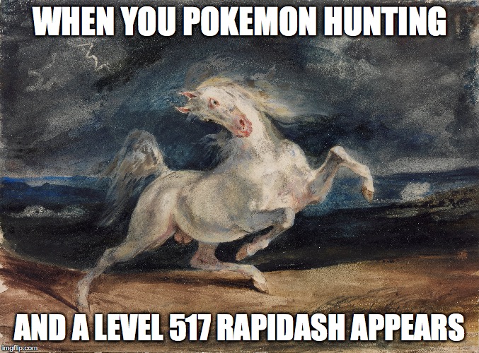 WHEN YOU POKEMON HUNTING; AND A LEVEL 517 RAPIDASH APPEARS | image tagged in pokemon go | made w/ Imgflip meme maker