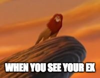 WHEN YOU SEE YOUR EX | image tagged in simba | made w/ Imgflip meme maker