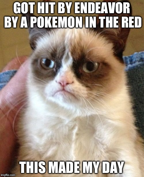 Grumpy Cat Meme | GOT HIT BY ENDEAVOR BY A POKEMON IN THE RED; THIS MADE MY DAY | image tagged in memes,grumpy cat | made w/ Imgflip meme maker