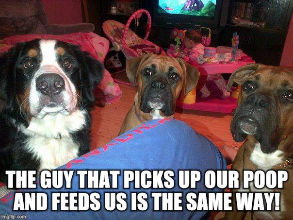 dogs | THE GUY THAT PICKS UP OUR POOP AND FEEDS US IS THE SAME WAY! | image tagged in dogs | made w/ Imgflip meme maker