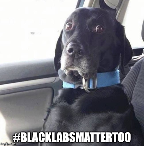 #BLACKLABSMATTERTOO | made w/ Imgflip meme maker