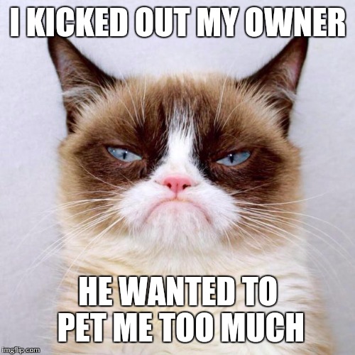 I KICKED OUT MY OWNER HE WANTED TO PET ME TOO MUCH | made w/ Imgflip meme maker