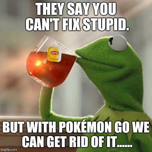 But That's None Of My Business | THEY SAY YOU CAN'T FIX STUPID. BUT WITH POKÉMON GO WE CAN GET RID OF IT...... | image tagged in memes,but thats none of my business,kermit the frog | made w/ Imgflip meme maker