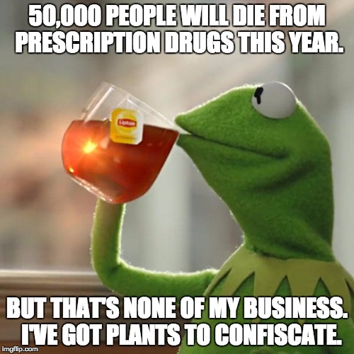 "Protecting and Serving" | 50,000 PEOPLE WILL DIE FROM PRESCRIPTION DRUGS THIS YEAR. BUT THAT'S NONE OF MY BUSINESS.  I'VE GOT PLANTS TO CONFISCATE. | image tagged in but thats none of my business,kermit,drugs,marijuana | made w/ Imgflip meme maker