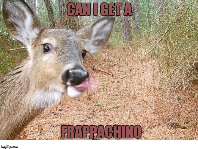 CAN I GET A FRAPPACHINO | made w/ Imgflip meme maker