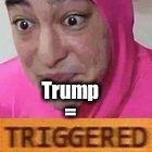 Triggered | Trump; = | image tagged in triggered,donald trump | made w/ Imgflip meme maker