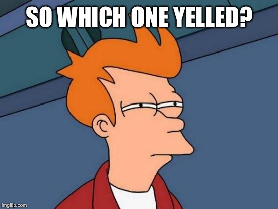 Futurama Fry Meme | SO WHICH ONE YELLED? | image tagged in memes,futurama fry | made w/ Imgflip meme maker