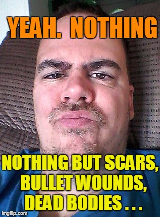 Scowl | YEAH.  NOTHING NOTHING BUT SCARS,  BULLET WOUNDS,  DEAD BODIES . . . | image tagged in scowl | made w/ Imgflip meme maker