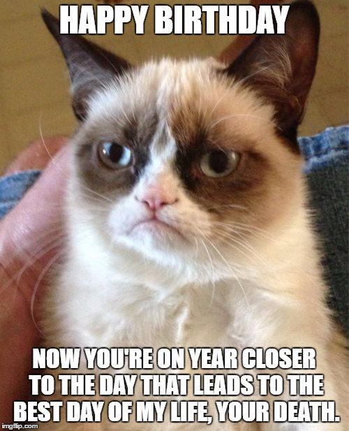 Grumpy Cat | HAPPY BIRTHDAY; NOW YOU'RE ON YEAR CLOSER TO THE DAY THAT LEADS TO THE BEST DAY OF MY LIFE, YOUR DEATH. | image tagged in memes,grumpy cat | made w/ Imgflip meme maker