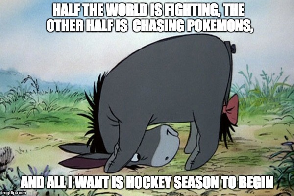 Eeyore wants hockey | HALF THE WORLD IS FIGHTING, THE OTHER HALF IS  CHASING POKEMONS, AND ALL I WANT IS HOCKEY SEASON TO BEGIN | image tagged in pokemon,hockey,eeyore | made w/ Imgflip meme maker