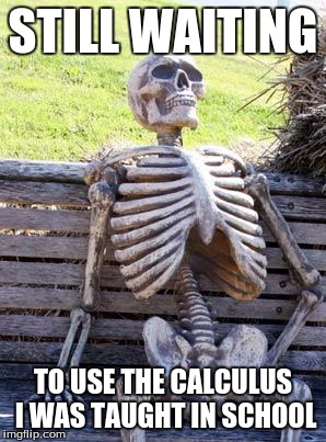 Waiting Skeleton | STILL WAITING; TO USE THE CALCULUS I WAS TAUGHT IN SCHOOL | image tagged in memes,waiting skeleton | made w/ Imgflip meme maker