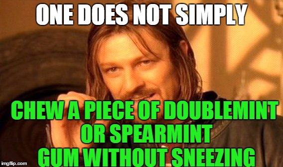 One Does Not Simply Meme | ONE DOES NOT SIMPLY CHEW A PIECE OF DOUBLEMINT OR SPEARMINT GUM WITHOUT SNEEZING | image tagged in memes,one does not simply | made w/ Imgflip meme maker