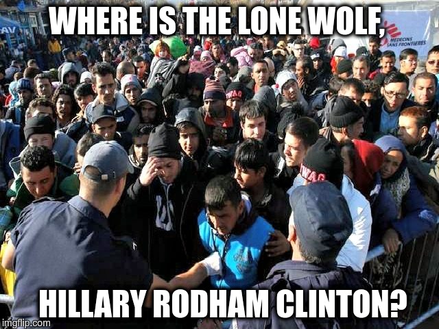  WHERE IS THE LONE WOLF, HILLARY RODHAM CLINTON? | image tagged in hillary,lone wolf | made w/ Imgflip meme maker