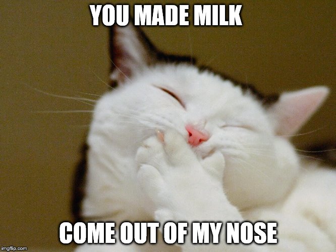 YOU MADE MILK COME OUT OF MY NOSE | made w/ Imgflip meme maker