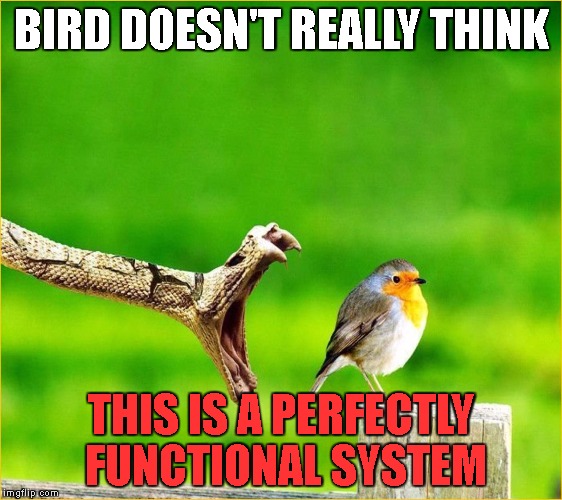 Snek be nice to berd | BIRD DOESN'T REALLY THINK; THIS IS A PERFECTLY FUNCTIONAL SYSTEM | image tagged in snake reality bites,birds,snake,food | made w/ Imgflip meme maker
