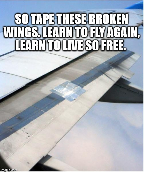 broken wings | SO TAPE THESE BROKEN WINGS. LEARN TO FLY AGAIN, LEARN TO LIVE SO FREE. | image tagged in flight broken wings live | made w/ Imgflip meme maker