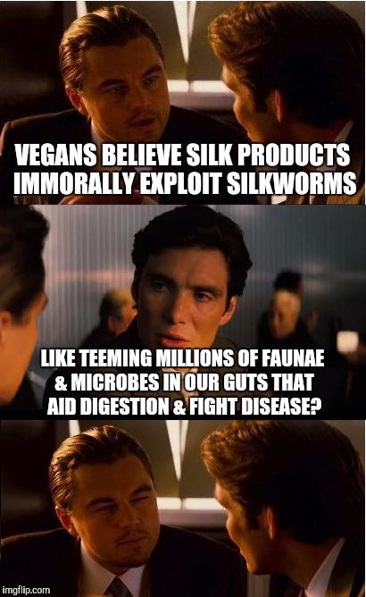 Inception | VEGANS BELIEVE SILK PRODUCTS IMMORALLY EXPLOIT SILKWORMS; LIKE TEEMING MILLIONS OF FAUNAE & MICROBES IN OUR GUTS THAT AID DIGESTION & FIGHT DISEASE? | image tagged in memes,inception | made w/ Imgflip meme maker