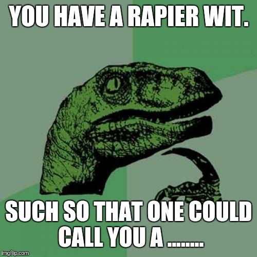 Philosoraptor Meme | YOU HAVE A RAPIER WIT. SUCH SO THAT ONE COULD CALL YOU A ........ | image tagged in memes,philosoraptor | made w/ Imgflip meme maker