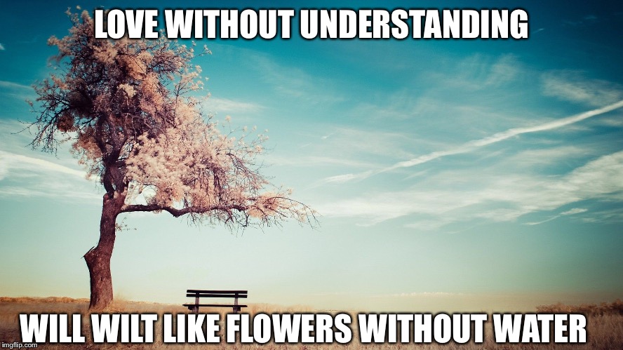 Love without understanding | LOVE WITHOUT UNDERSTANDING; WILL WILT LIKE FLOWERS WITHOUT WATER | image tagged in love,understanding,hurt,breakup,divorce,lonely | made w/ Imgflip meme maker