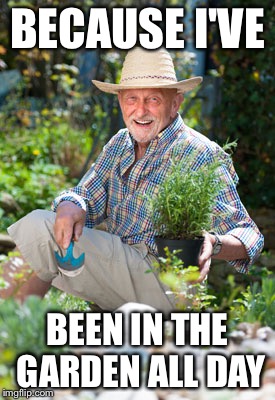 Herb in the Garden | BECAUSE I'VE BEEN IN THE GARDEN ALL DAY | image tagged in herb in the garden | made w/ Imgflip meme maker