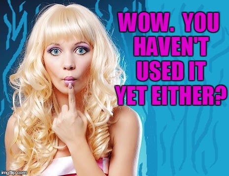 ditzy blonde | WOW.  YOU HAVEN'T USED IT YET EITHER? | image tagged in ditzy blonde | made w/ Imgflip meme maker