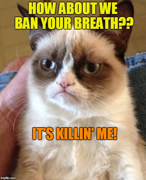 Grumpy Cat Meme | HOW ABOUT WE BAN YOUR BREATH?? IT'S KILLIN' ME! | image tagged in memes,grumpy cat | made w/ Imgflip meme maker